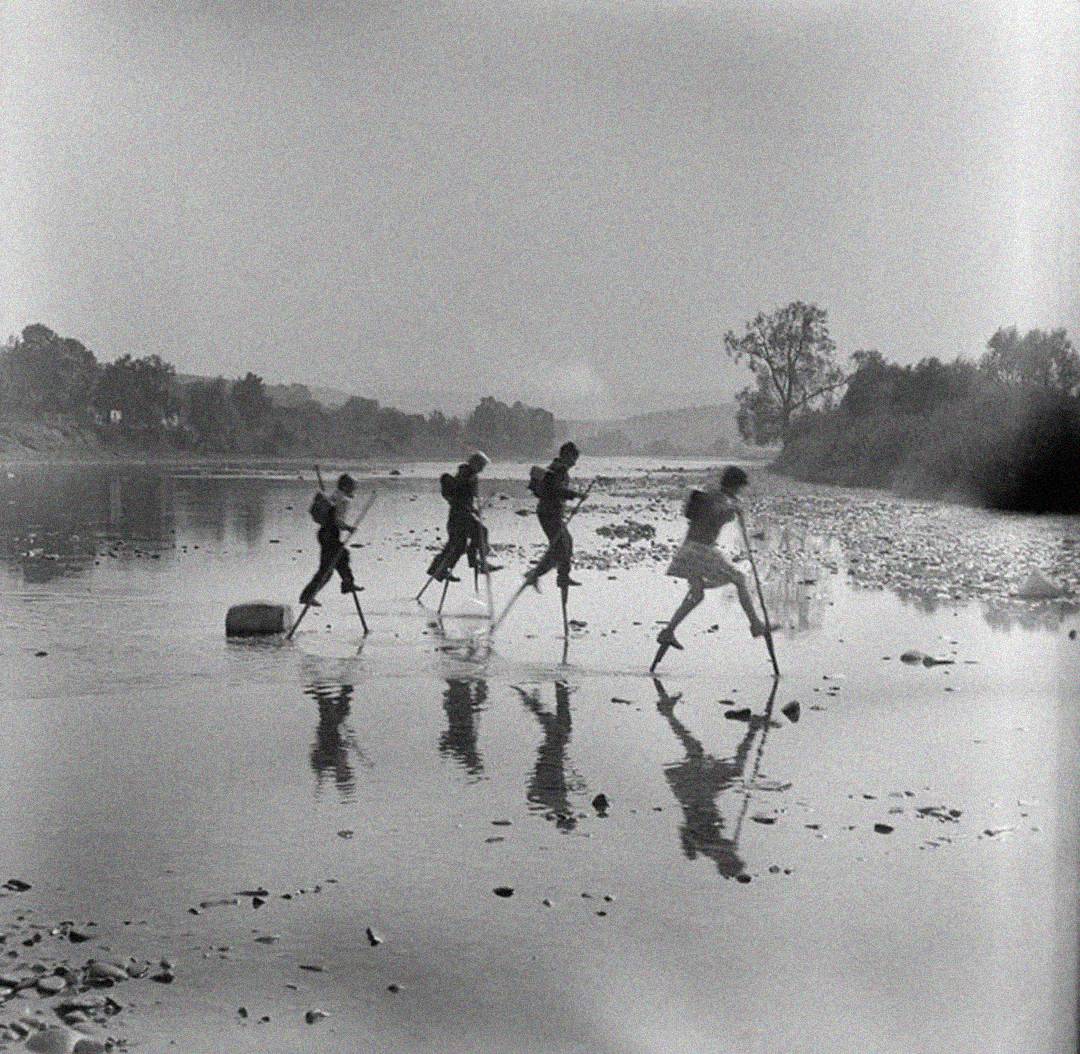 Five children cross a shallow, reflective river, using sticks for support. Their silhouettes and reflections are visible in the water, with trees and a distant shoreline in the background. The scene appears playful and lively.
