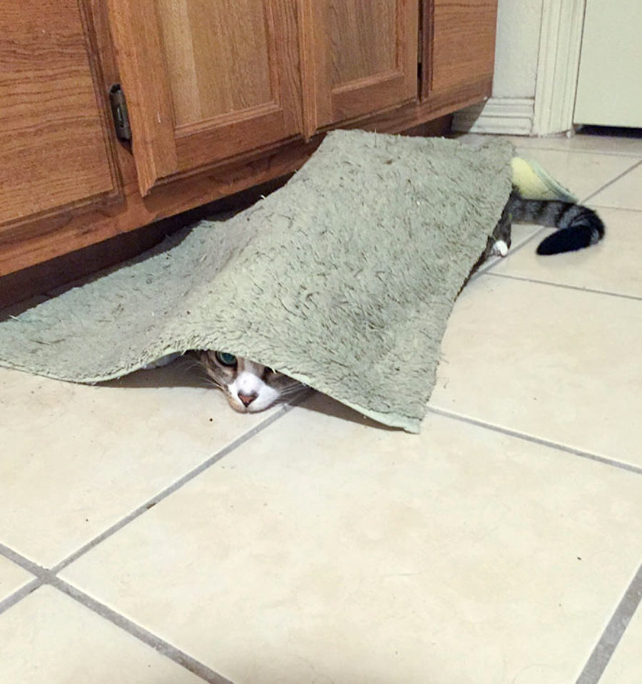 A cat is hiding under a green bath mat on a tiled floor, with only its face and tail visible, peeking out from under the mat near wooden cabinets.