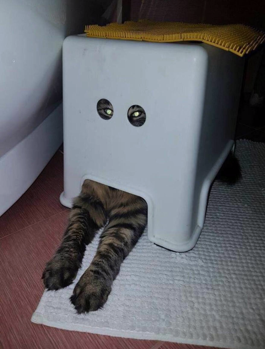 A tabby cat is hiding under an upside-down plastic stool, with its front legs stretched out and its eyes peeking through two holes, creating a funny and curious scene.