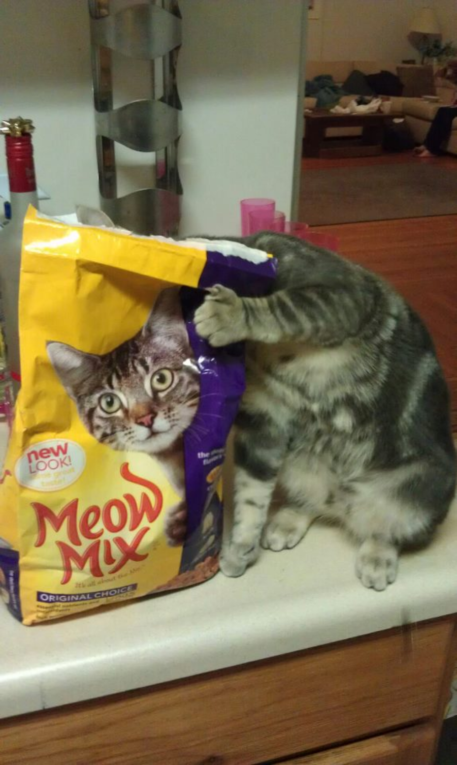 A gray tabby cat stands on a kitchen counter with its head inside a large bag of Meow Mix cat food, leaving only its body visible. The bag features a cat's face and is yellow and purple.