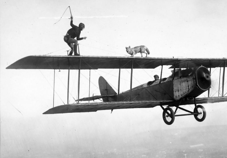 A person stands on top of a biplane wing mid-flight, holding a whip, while a dog walks alongside them; another person is piloting the plane below. The scene is black and white, with a clear sky in the background.