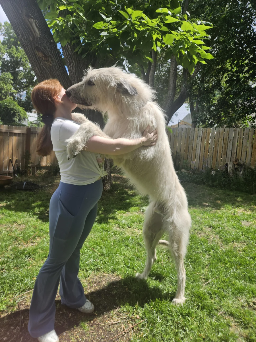 A woman stands in a sunny backyard hugging a very large, tall dog that is standing on its hind legs, towering over her and reaching her shoulders, both appearing affectionate.