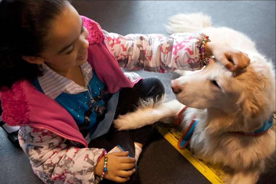 A young girl wearing a colorful jacket pets a fluffy, light-colored dog sitting on the floor beside her. The girl smiles warmly, and the dog looks content and calm.