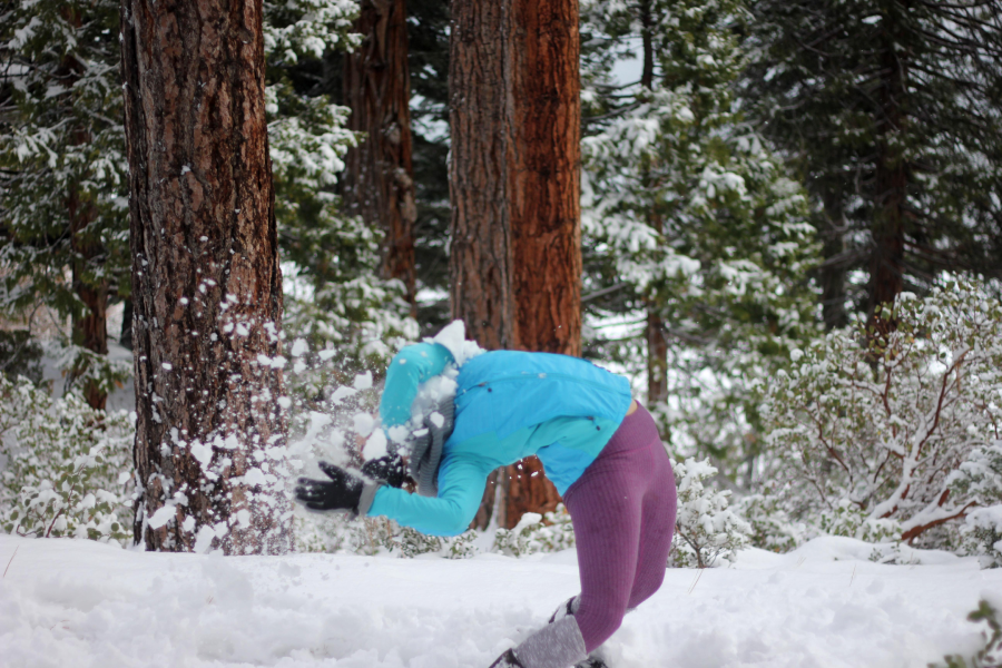 A person in a blue jacket and purple pants bends over as a snowball hits them in a snowy forest, with trees and snow-covered ground visible in the background.