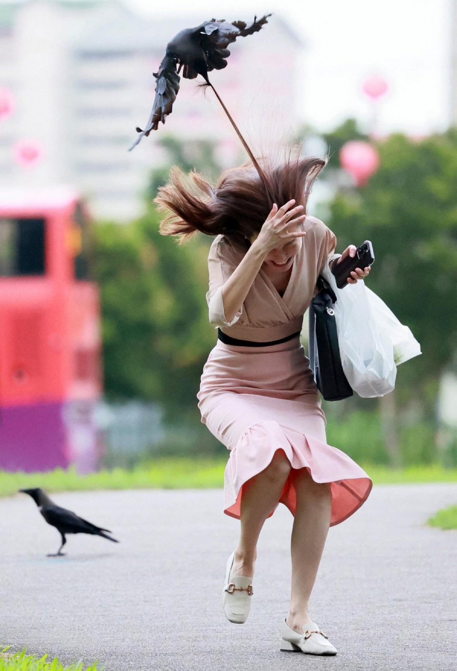 A woman in a pink dress ducks and shields her head as a black bird attacks her from behind, grabbing her hair. She carries a handbag and plastic bag, while another bird stands on the ground nearby.