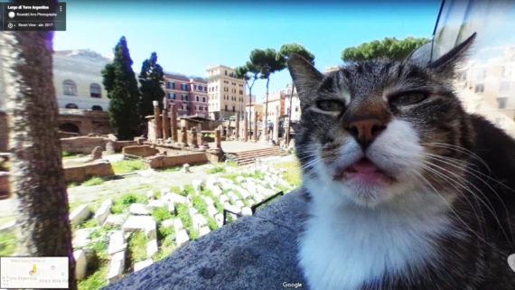 funny-google-maps-street-view-moments