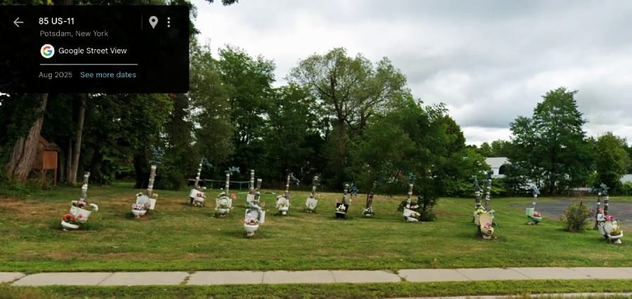 A grassy yard in Potsdam, New York, displays several old toilets decorated with flowers and plants, arranged in rows near trees and houses, under a cloudy sky.
