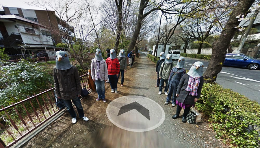 A group of people stand along a sidewalk, all wearing pigeon head masks. Trees line the path, and parked cars are visible on the adjacent street. The scene appears whimsical and surreal.