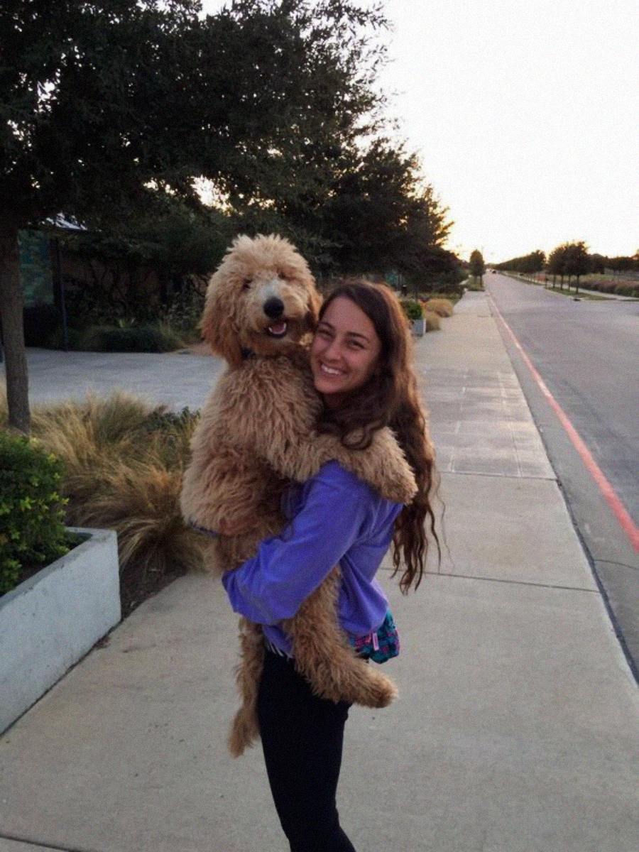 A young woman with long brown hair smiles while holding a large fluffy dog in her arms on a sidewalk next to a road lined with trees and bushes.