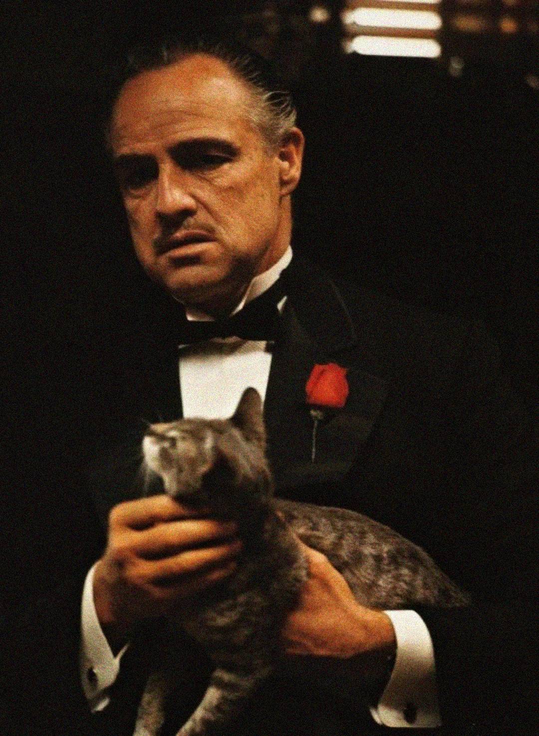 A stern man in a black tuxedo with a red rose on his lapel sits in low light, gently holding a grey cat in his hands.