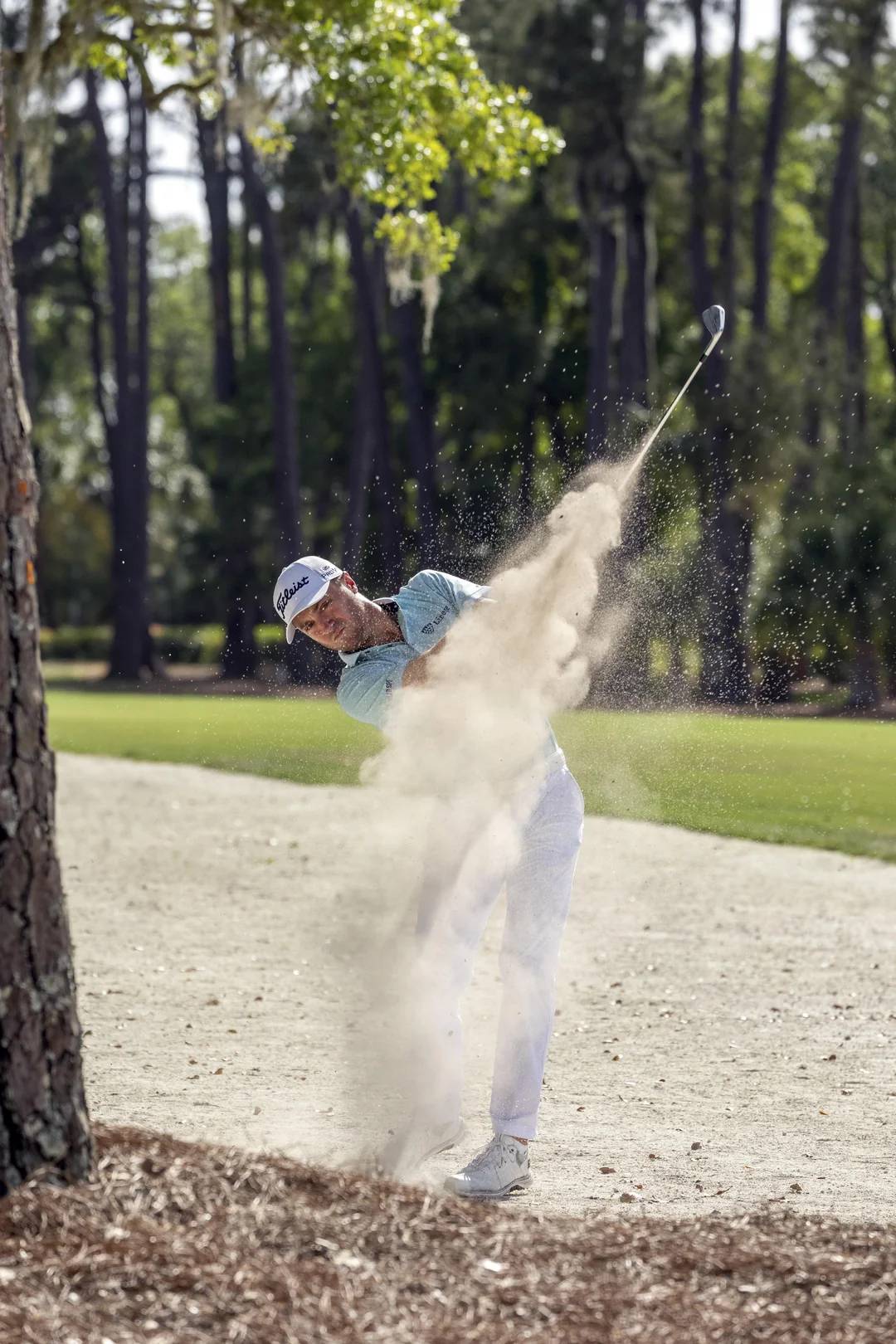 A golfer wearing a white cap and light clothing hits a shot from a sandy area near a tree, sending sand flying, with a lush green golf course and tall trees in the background.