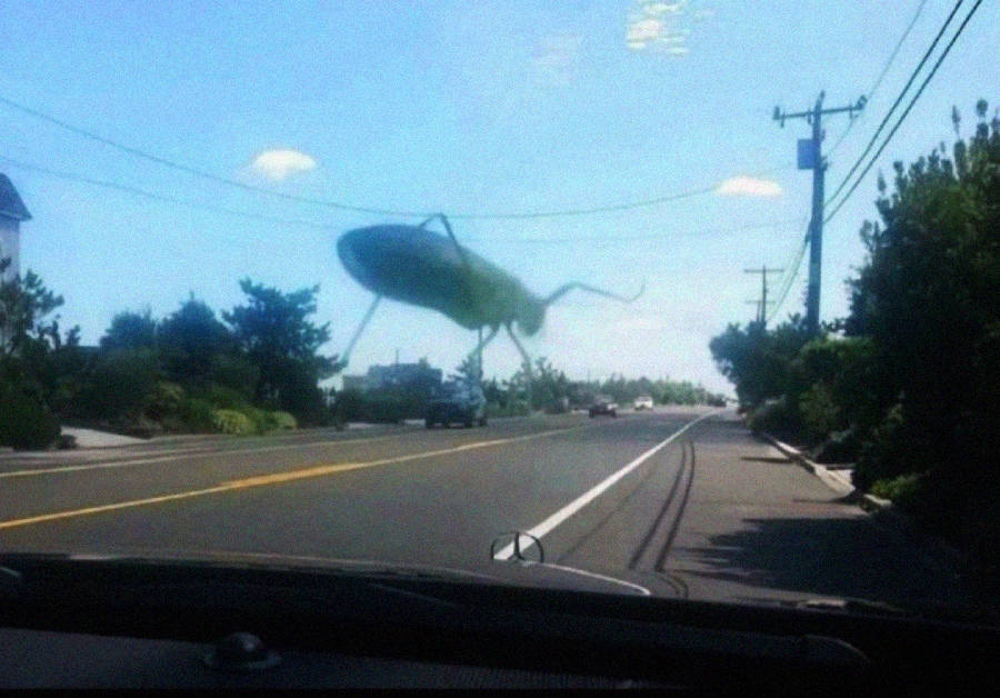 A close-up of a green insect on a car windshield, creating an optical illusion that it is giant and looming over a sunny suburban road with trees, houses, and cars in the background.