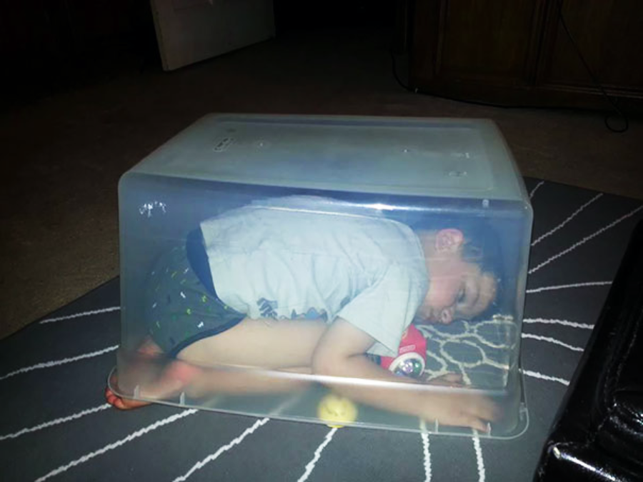 A young boy is curled up inside a transparent plastic storage bin, lying on his side on a patterned rug with a toy car and yellow ball beside him.