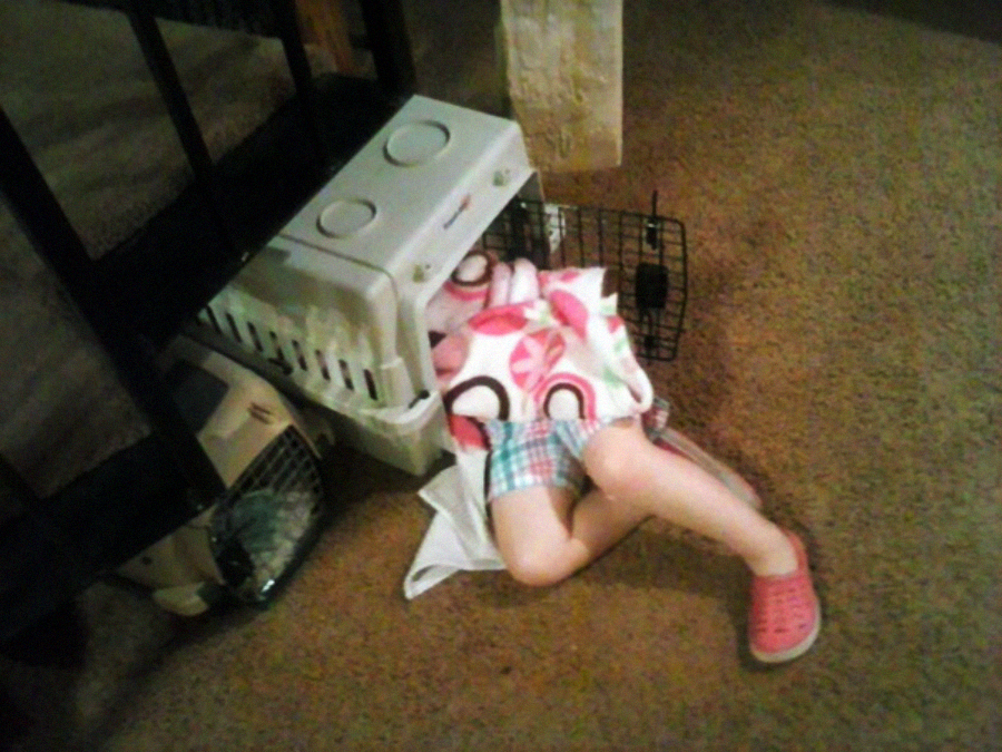 A child wearing shorts and pink shoes is lying on the carpet floor with their upper body inside a pet carrier and a blanket covering part of them. The child’s legs are sticking out of the carrier.