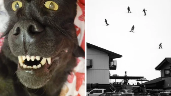 mind-bending-images-brain-vs-eyes