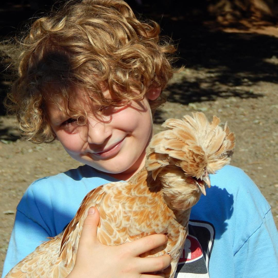 A smiling child with curly blonde hair wearing a light blue shirt holds a beige and white crested chicken outdoors on a sunny day.