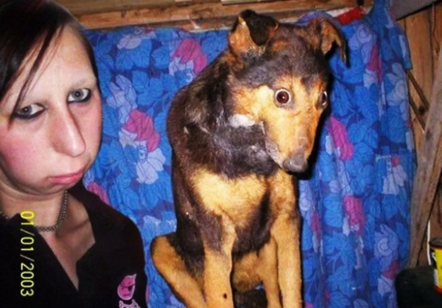 A person with dark eyebrows and a neutral expression stands next to a poorly done taxidermy dog against a blue floral-patterned background. The image has a date stamp of 01/01/2003.