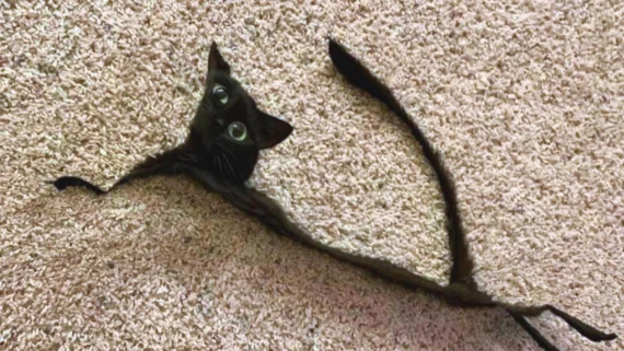 panoramic-photo-fails-horror