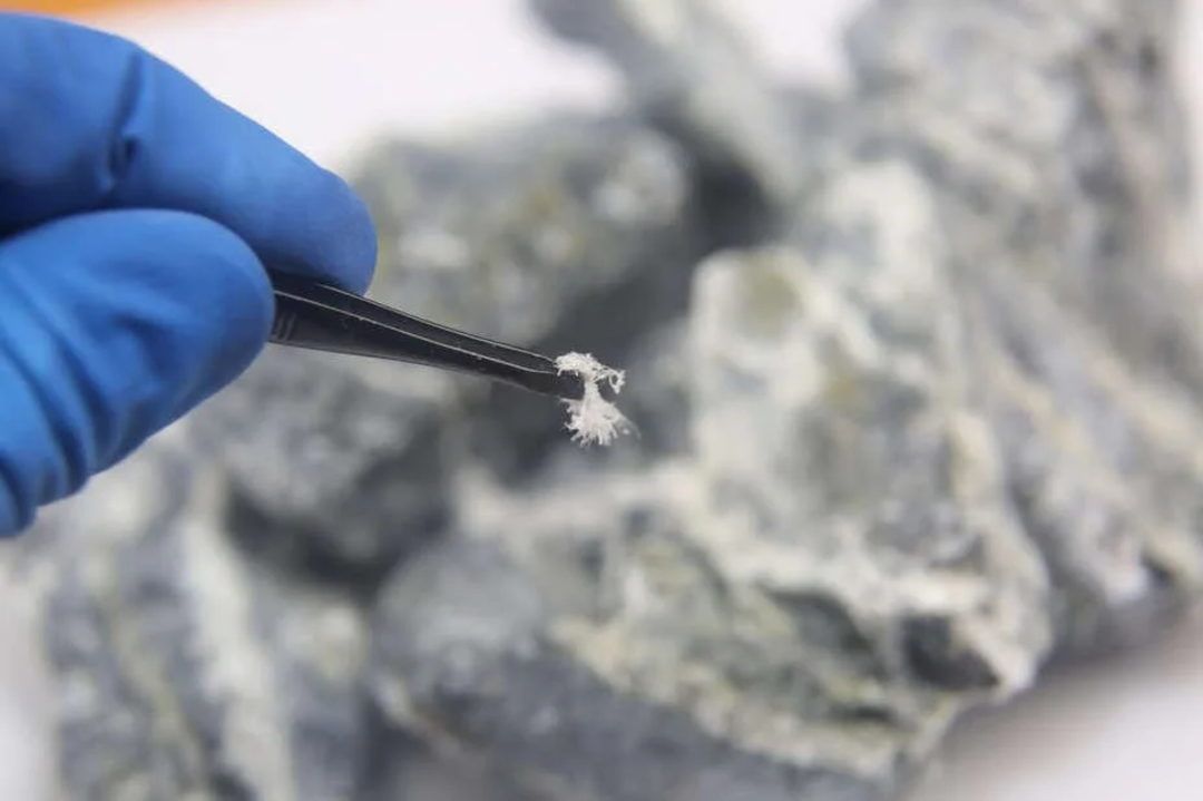 A gloved hand holds tweezers gripping a small, fibrous white mineral sample, with larger gray rocks blurred in the background.