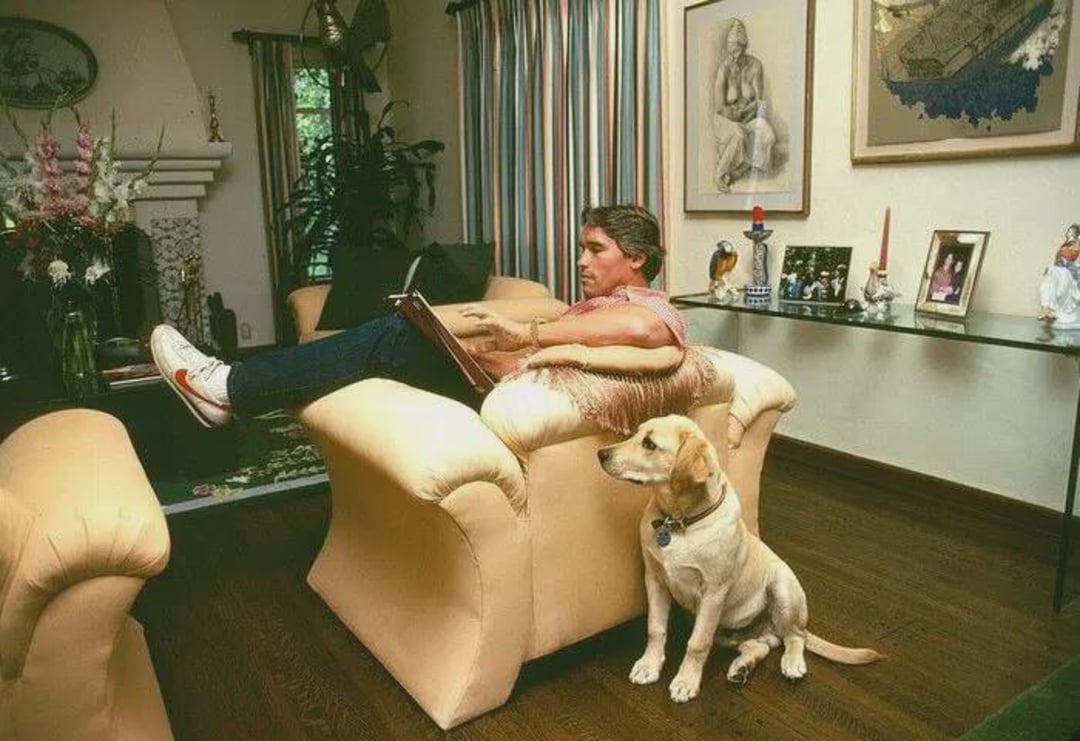 A man reclines on a beige armchair with his feet up, working on a laptop. A yellow Labrador dog sits on the wooden floor beside him. The room is decorated with framed art, plants, and various objects on a glass table.