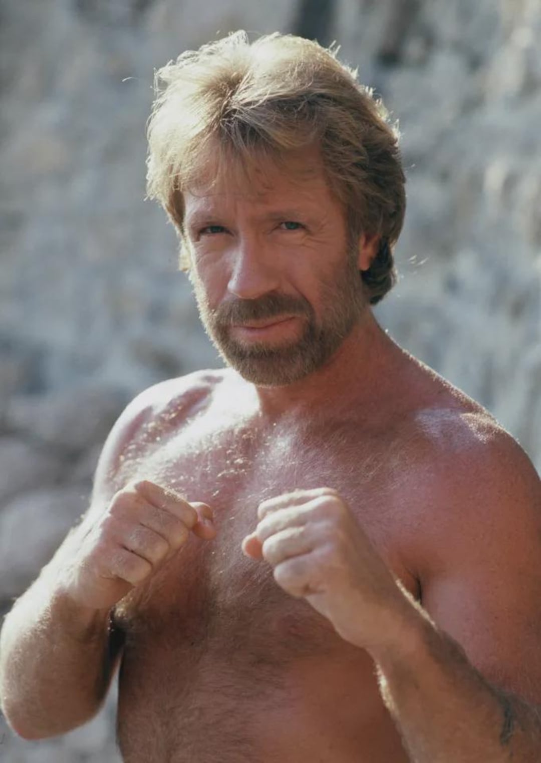 A middle-aged man with light brown hair and a beard stands shirtless outdoors, holding his fists up in a fighting pose. The background appears rocky and sunlit.