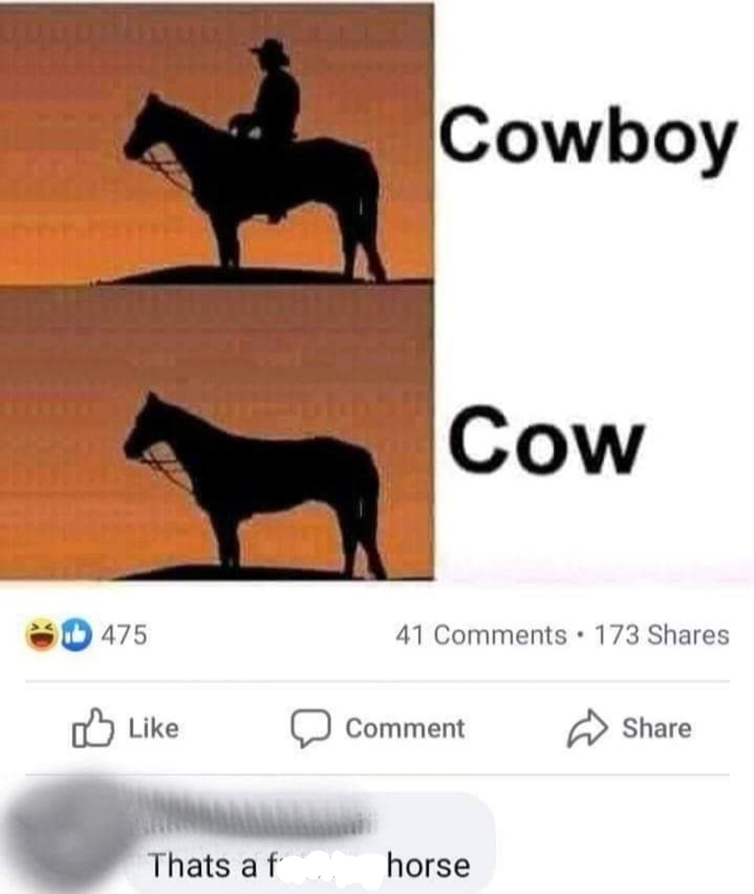 Two panels: the top shows a cowboy riding a horse with the caption “Cowboy.” The bottom shows just the horse, captioned “Cow.” A comment below says, “That’s a f***ing horse.”