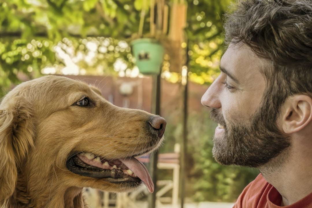 A bearded man smiling closely at a golden retriever outdoors, with both facing each other and appearing happy, surrounded by greenery and soft sunlight in the background.