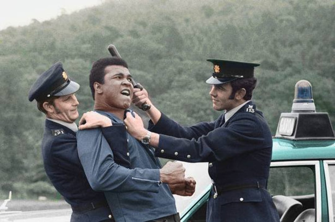 Two police officers in uniform restrain a man in a blue shirt near a police car; one officer holds a baton and the other grabs the man's collar. Trees and a hill are visible in the background.