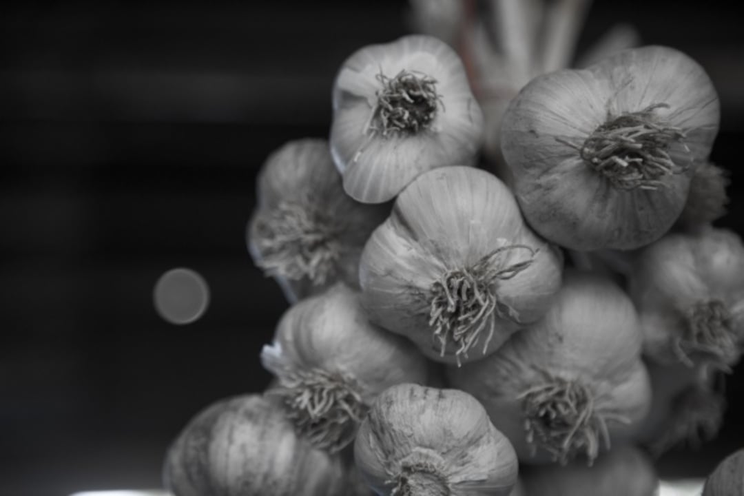 A close-up of a bunch of dried garlic bulbs hanging together, with visible roots and stems. The background is dark and out of focus, emphasizing the texture of the garlic.