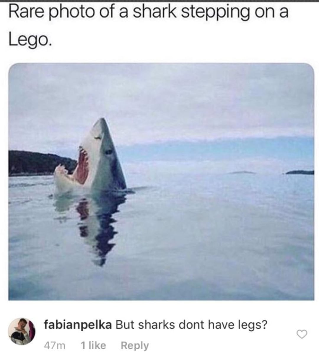 A shark with its mouth wide open emerges from the water, paired with the caption, "Rare photo of a shark stepping on a Lego." A comment below reads, "But sharks don't have legs?