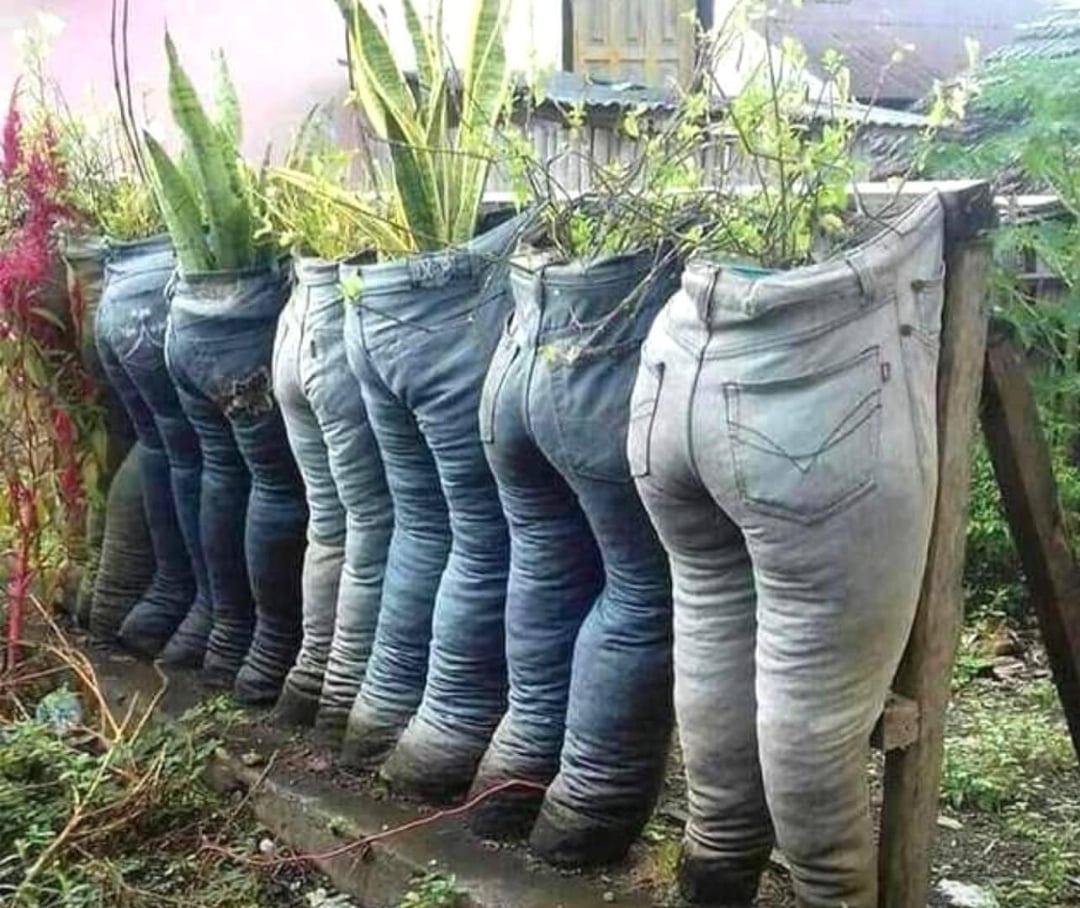A row of old jeans filled with soil and plants, arranged upright and supported to look like people standing with plants growing out from the waist, creating quirky garden planters.