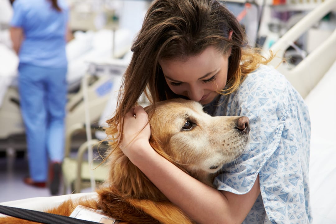 A young woman in a hospital gown hugs a golden retriever while sitting on a hospital bed, showing affection and comfort. Medical staff and equipment are visible in the blurred background.