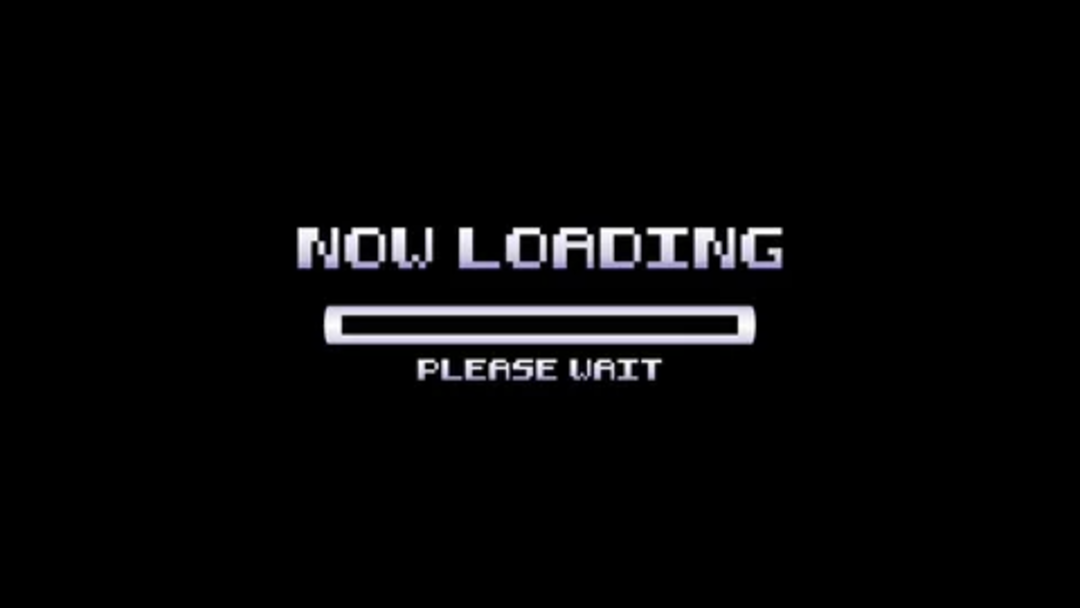 Text on a black background reads “NOW LOADING” above a progress bar, with “PLEASE WAIT” below the bar. The text and bar are pixelated, resembling a retro video game loading screen.