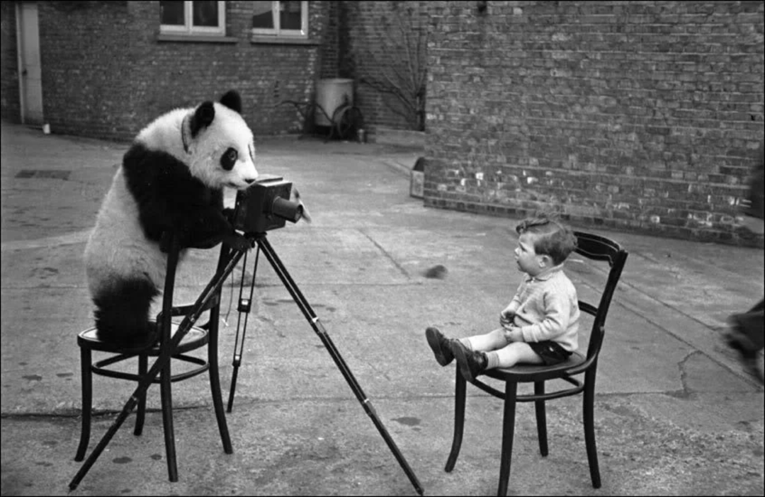 A panda sits on a chair, using a camera on a tripod to "photograph" a young boy seated across from it on another chair in a paved courtyard with brick walls.