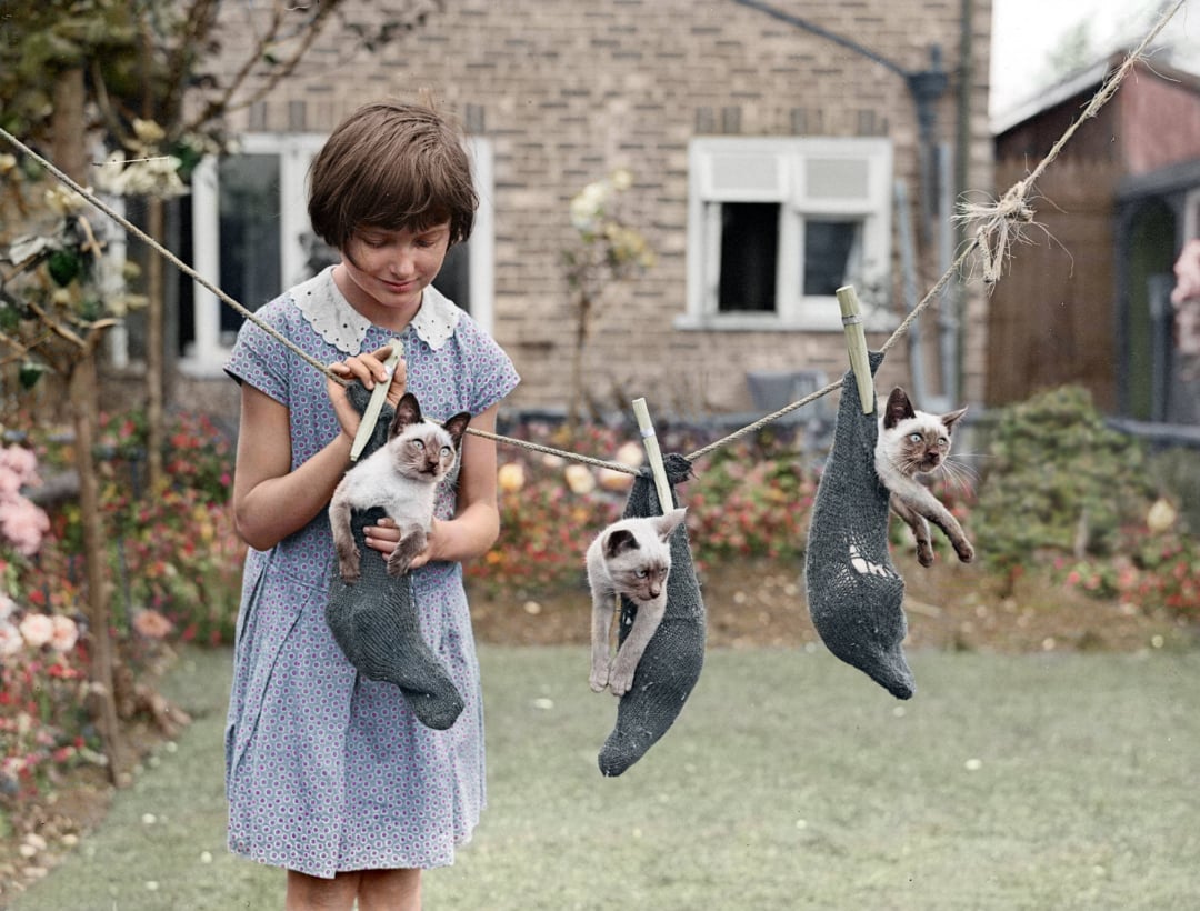 A girl in a patterned dress stands outside, smiling at three kittens sitting inside socks that are hanging from a clothesline with clothespins in a garden with a brick house in the background.