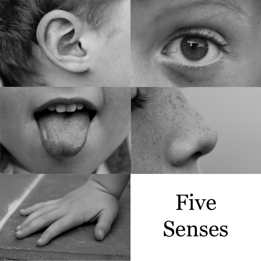 A collage shows a child's ear, eye, tongue, nose, and hand, representing the five senses. The words "Five Senses" appear in black text on a white background in the bottom right corner.