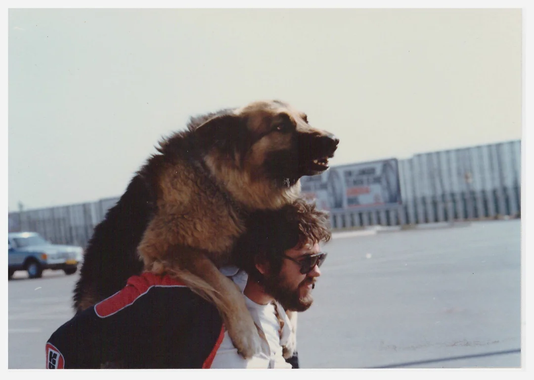 A German Shepherd with its front paws on a man's shoulders appears to be riding on his back in a parking lot, with both facing forward. The man wears sunglasses and a jacket. A fence and parked cars are in the background.