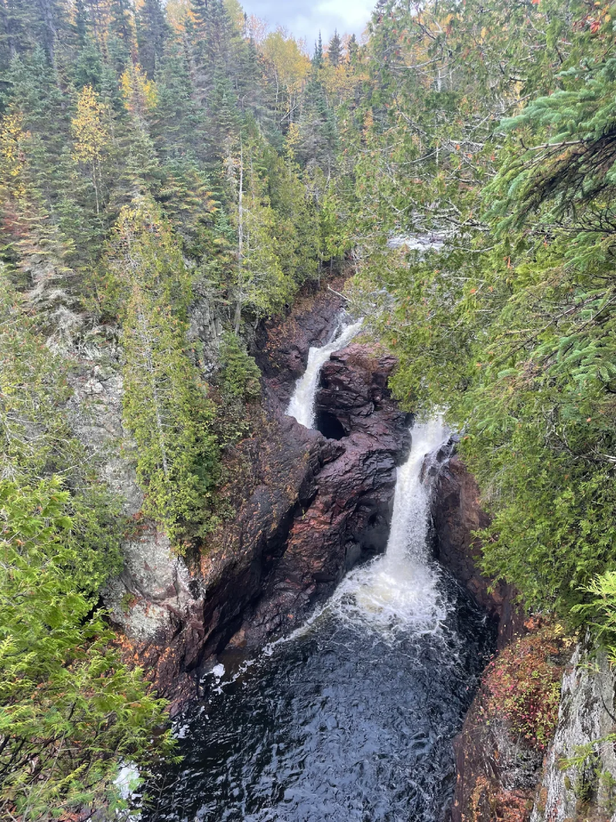 Two streams of a waterfall cascade down dark rocks into a pool, surrounded by dense green forest and tall trees. The scene suggests early autumn with some foliage beginning to turn yellow.