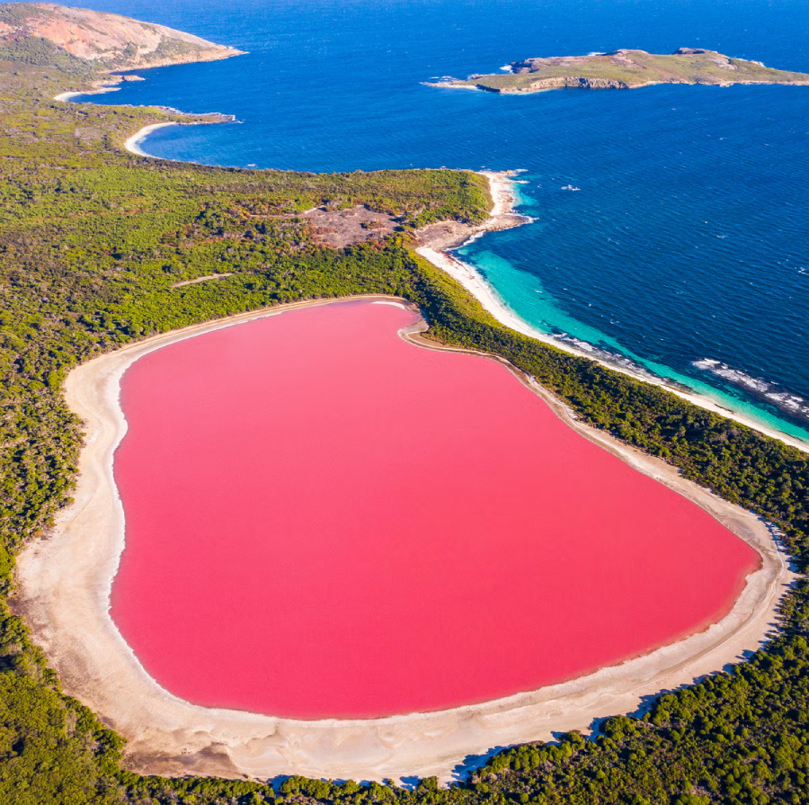 Aerial view of a bright pink lake surrounded by greenery, with blue ocean and small islands in the background under a clear sky. The vivid pink contrasts with the natural landscape.