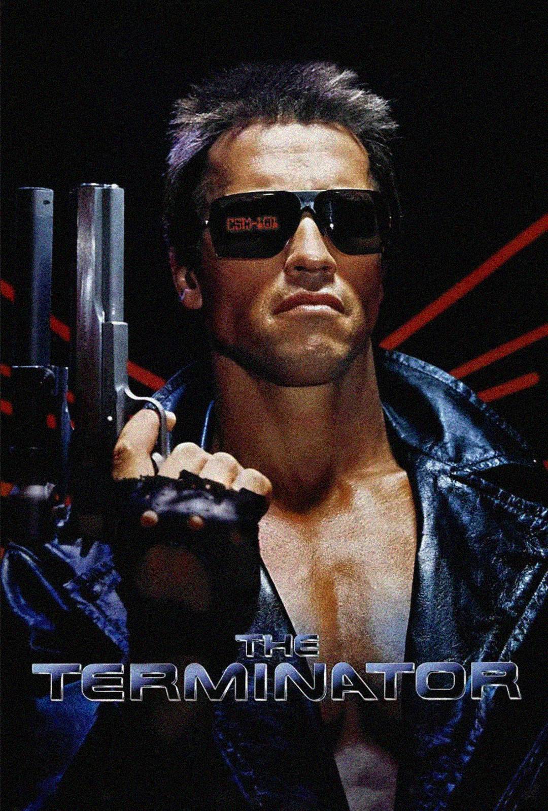 A man in sunglasses and a leather jacket holds a gun, with red laser-like lines in the background. The text "The Terminator" appears at the bottom of the image.