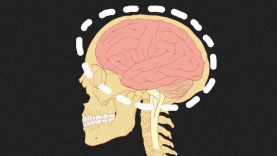 Human brain illustration with neural connections