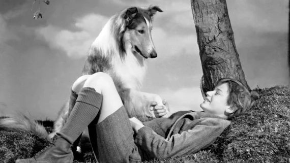 classic-tv-shows-dark-secrets-behind-the-scenes