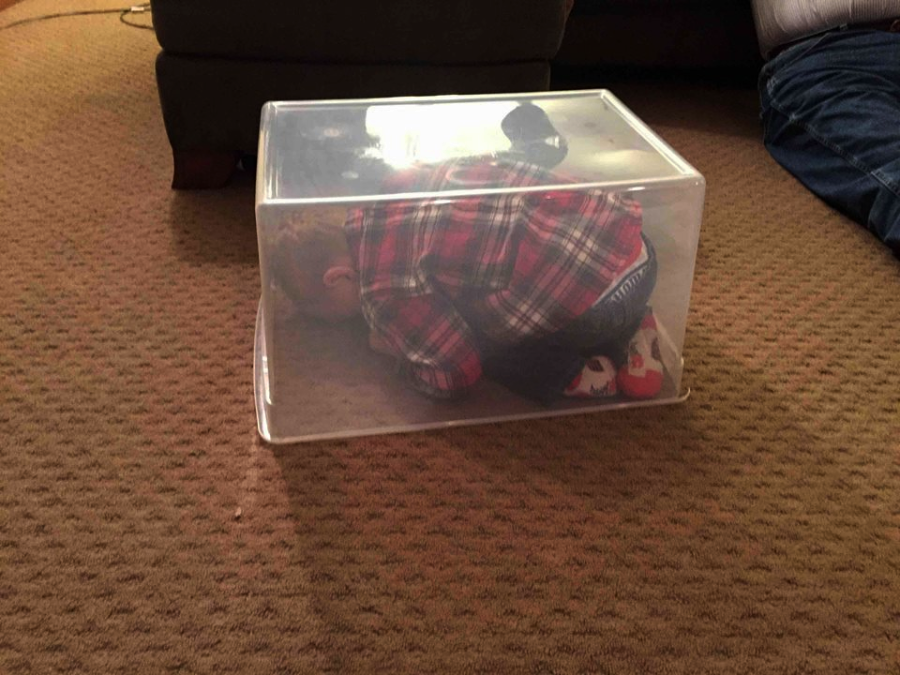 A young child wearing a plaid shirt and patterned socks is curled up inside a clear plastic storage bin on a carpeted floor next to a couch.