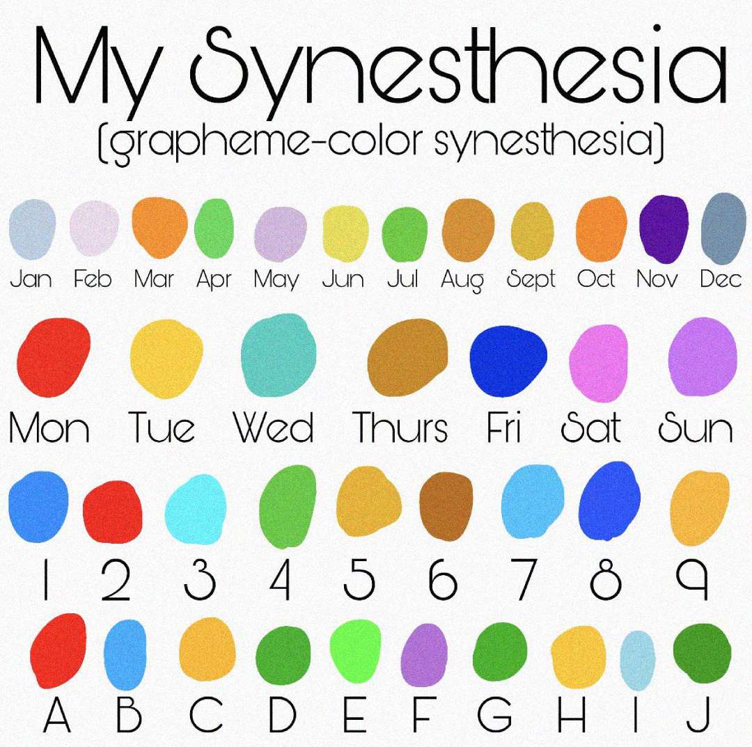 A synesthesia chart showing colored blobs for months, days, and numbers: e.g., January is gray, February is red, Monday is beige, Tuesday is blue, and the digit 1 is red, 2 is teal, 3 is yellow, etc.