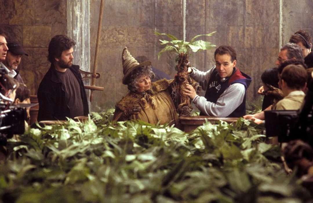 Behind the scenes on a film set, a woman in a witch costume pulls a mandrake plant from a pot while surrounded by crew members and lush green plants. The scene appears busy and focused on the action.