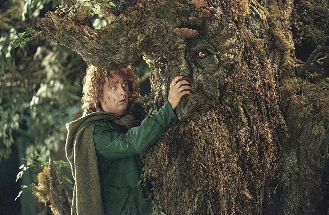 A person with curly hair and a green cloak gently touches the face of a large, tree-like creature with expressive eyes and a bark-covered face in a forest setting.