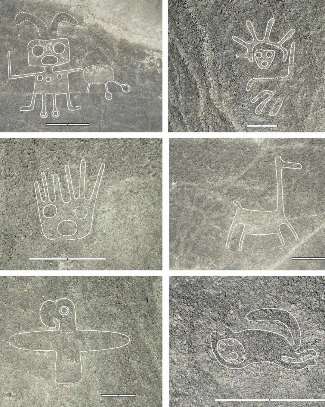 Six ancient petroglyphs carved into stone, each depicting a different figure: a dog-like creature, a person with outstretched hands, a handprint, a giraffe, a bird, and a curled animal.