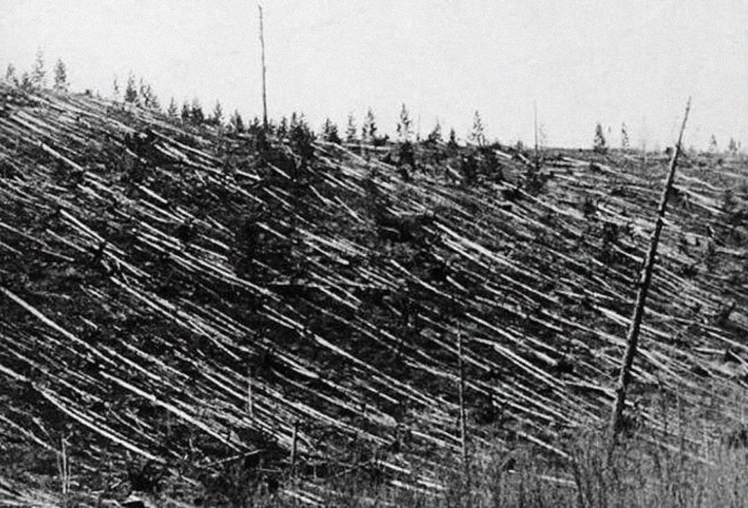 Black-and-white photo of a forest with hundreds of trees knocked down and lying flat, all pointing in the same direction, while a few trees remain standing in the background.