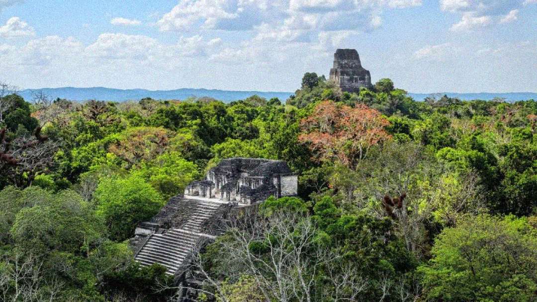 Ancient Mayan ruins rise above dense green jungle with stone pyramids and structures, set under a partly cloudy sky in Tikal, Guatemala.