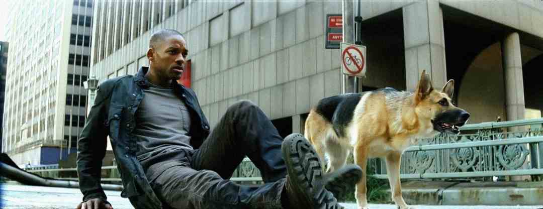A man sits on the ground in a city street next to a German Shepherd dog. Tall, modern buildings loom around them, and a no parking sign is visible in the background. The scene appears tense and deserted.